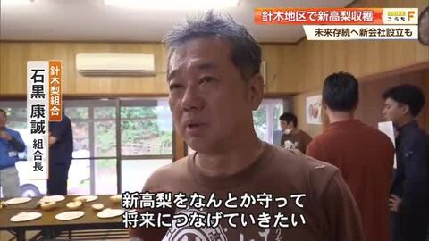 高知名物《新高梨》収穫始まるも産地消滅の危機　高齢化・老木化に立ち向かい有志6人が新会社設立