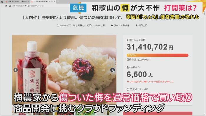 クラウドファンティング