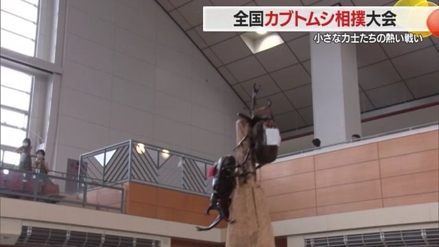 体を入れ替えられたファイヤーは下に…