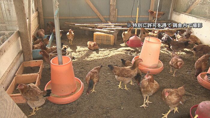 豊後大野市の養鶏場