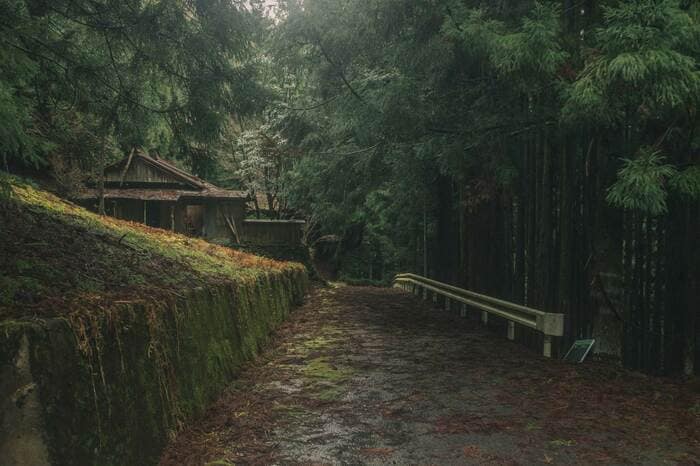 奈良・中津川集落（2024年3月撮影）