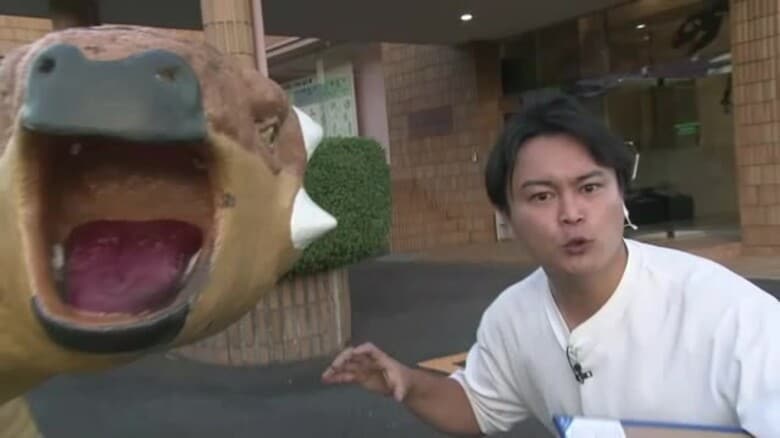 【WeekenDどう？】国内唯一「泊まれる博物館」ナイトミュージアムで「恐竜」探検（島根・奥出雲町）｜FNNプライムオンライン
