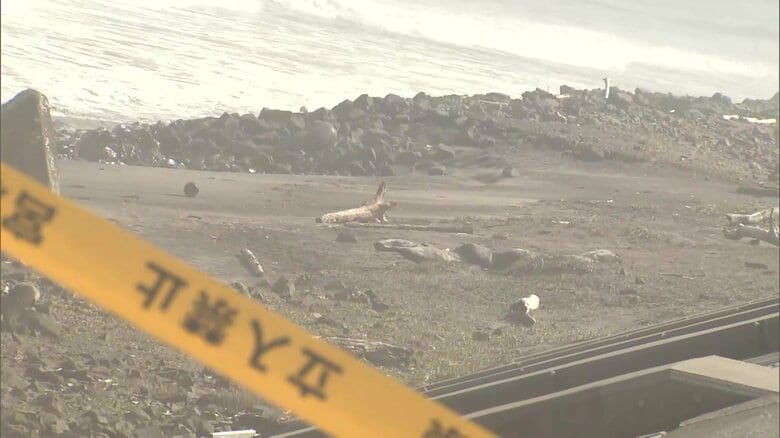 胸などに“刃物”で刺された複数の傷…海岸に35歳保育士の女性遺体　最後の生存確認は4月12日　宮城・岩沼市｜FNNプライムオンライン