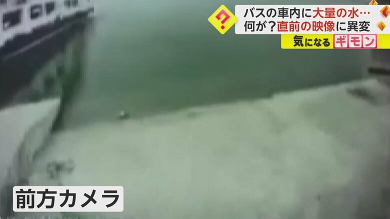 水面と左側にフェリーが見える