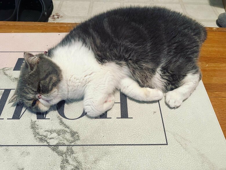 成長した今では、玄関に落ちていることも