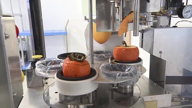進化を続ける皮むき機　人手不足にも一役