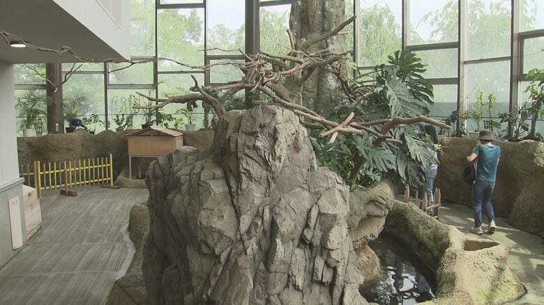 熱帯雨林の環境になっている屋内展示施設「ハピジャン」