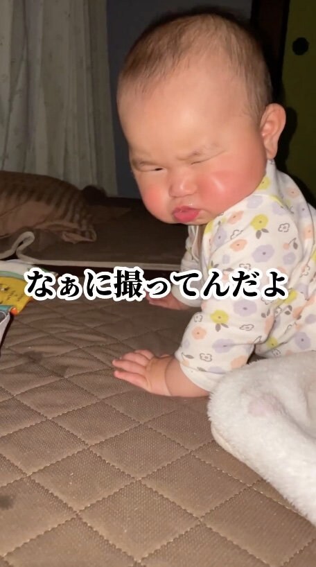 提供：とこ地蔵ちゃんさん