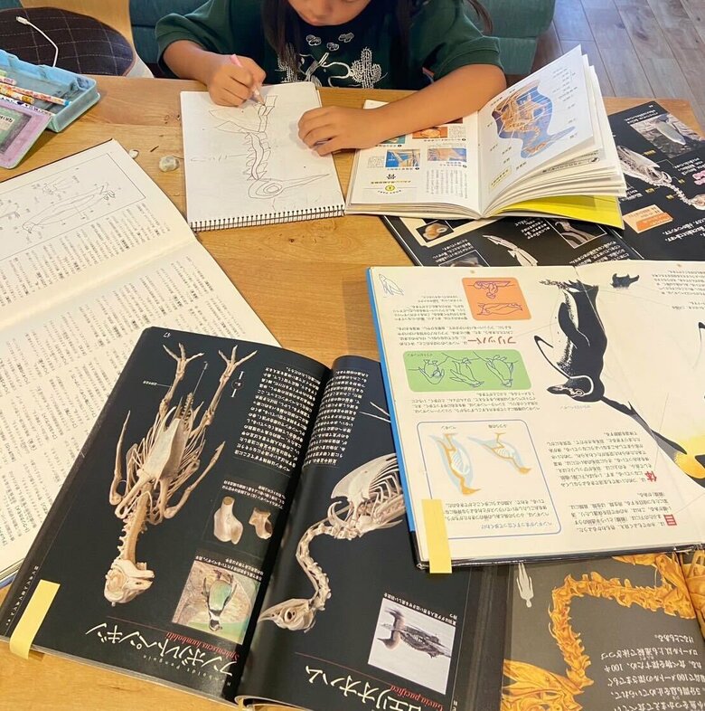 ペンギンの資料がいっぱい！