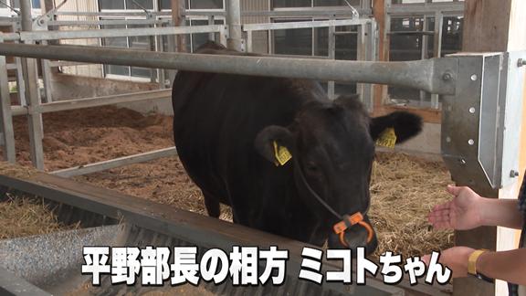 ミコトちゃん