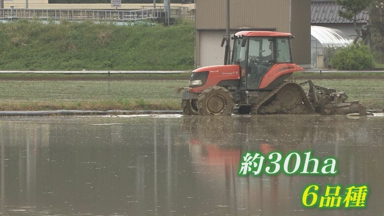 30ヘクタールで6品種のコメを栽培