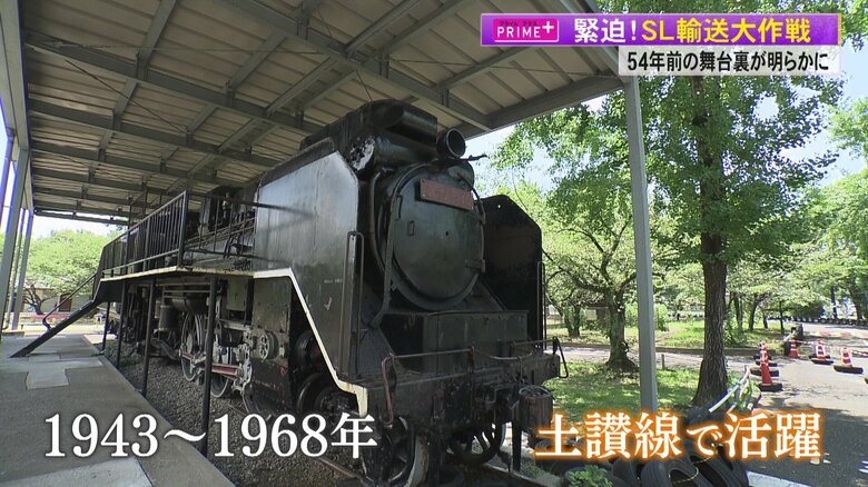 比島交通公園にある県内唯一のSL