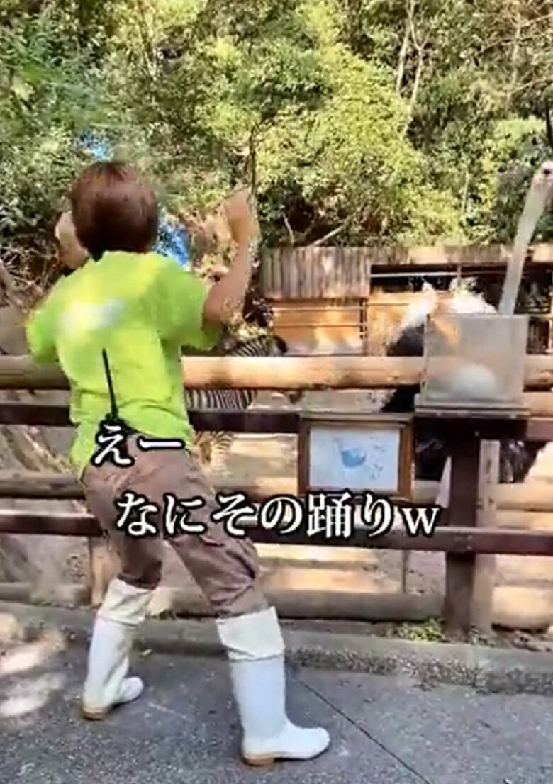 女性飼育員の独特な踊りに撮影者も「なにその踊りｗ」