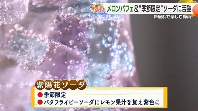 ゼリーの食感が楽しい