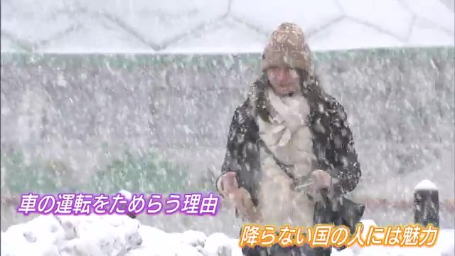 厄介な雪も魅力の一つ