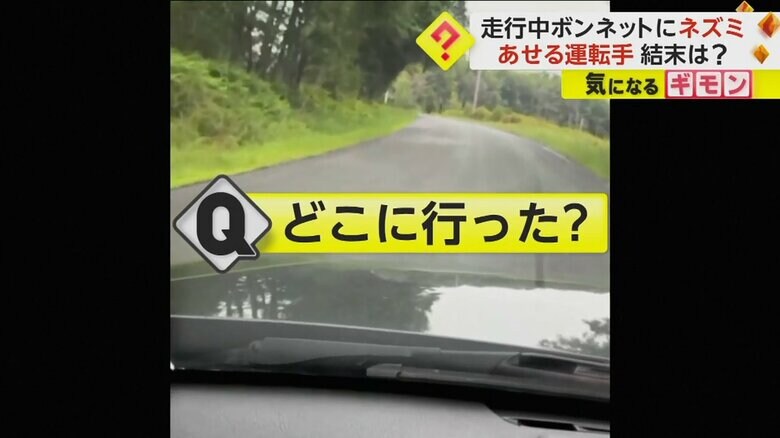 ボンネットを走り回っていたのに姿が見えなくなったネズミの行方は？