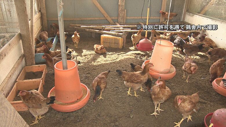 豊後大野市の養鶏場