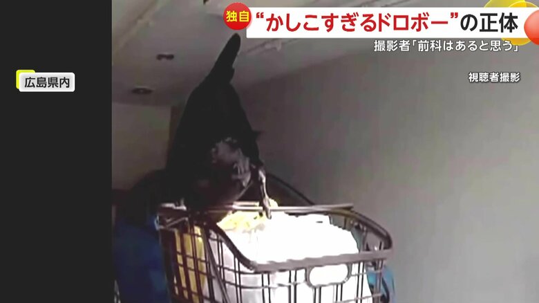自転車のかごに飛び乗った大きなカラス（11日午後5時半頃、広島県内）
