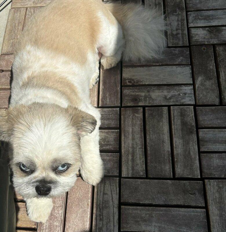 下からすごい目つき