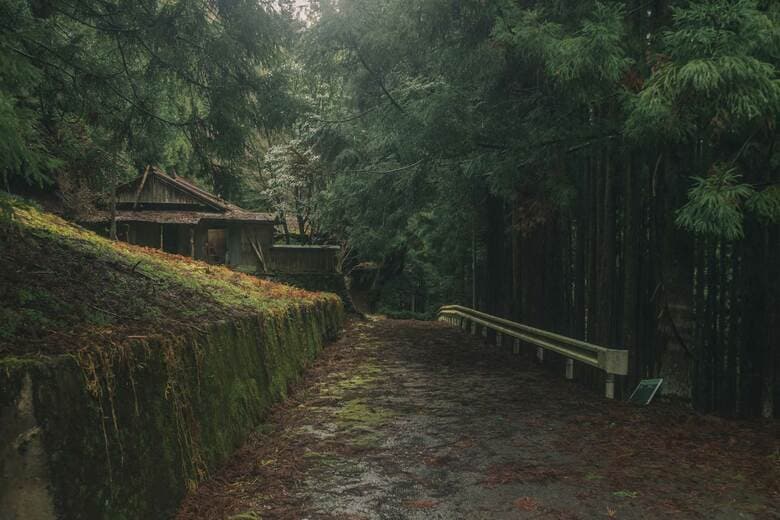 奈良・中津川集落（2024年3月撮影）