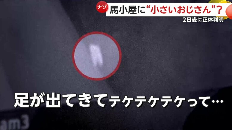 「足が出てきてテケテケテケって歩き出した」と語っている撮影者（4日午前2時前、北海道・新冠町の牧場）