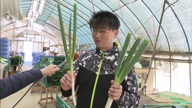 福島県三春町「ふぁーむ・わたなべ」渡辺俊史代表取締役