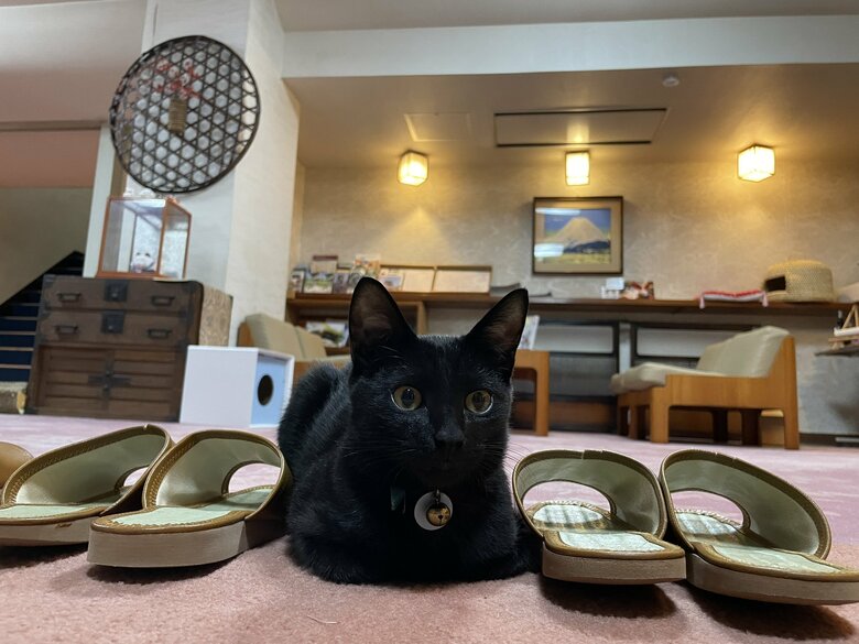 タマくんも「スリッパ温め係」に挑戦