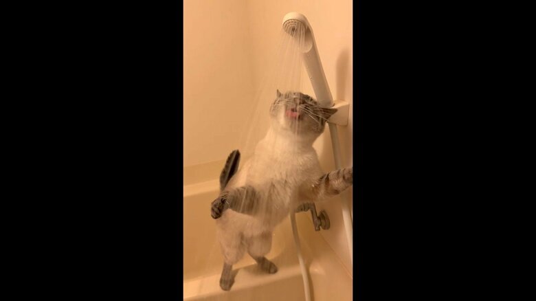 小さい口で頑張って飲んでいる