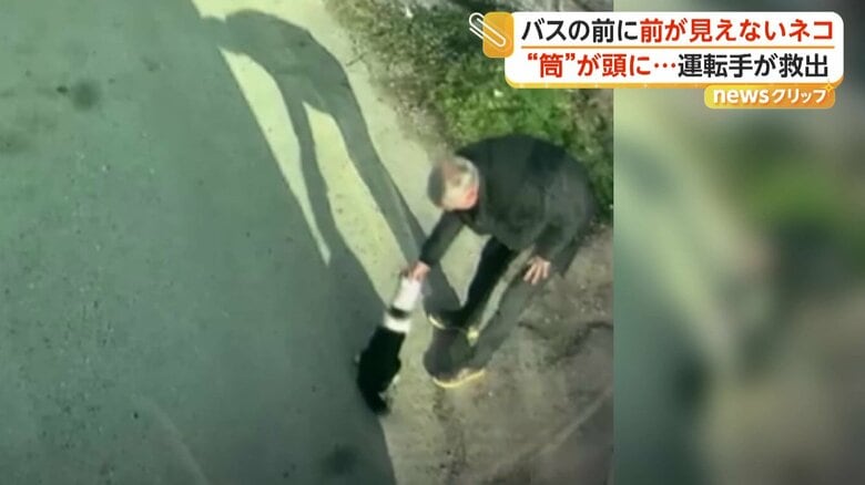 缶に挟まっていたネコの頭