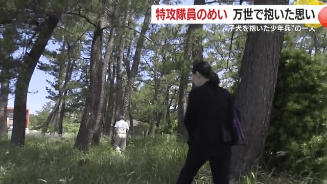 「子犬を中心に微笑む5人の少年特攻兵の写真」は、この松林付近で撮影されたと推測される