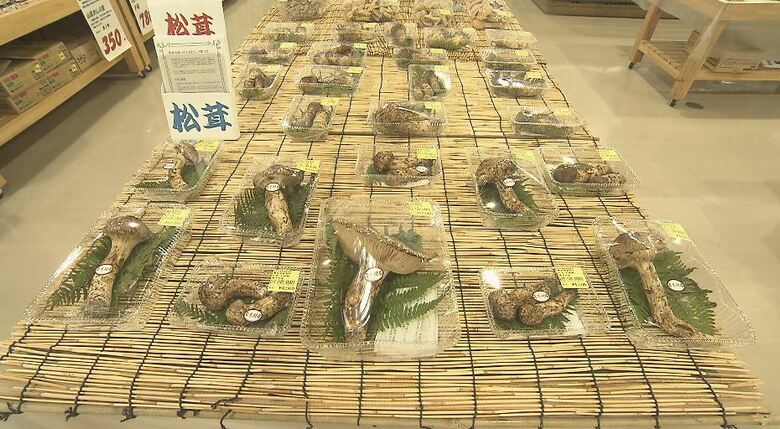 2022年、2021年は9月5日から棚に並んでいたマツタケ（画像は昨年取材時）