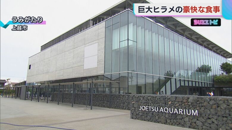 上越市立水族博物館 うみがたり