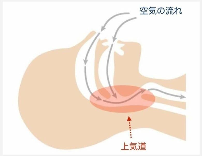 いびきが出るメカニズム（提供：加賀さん）