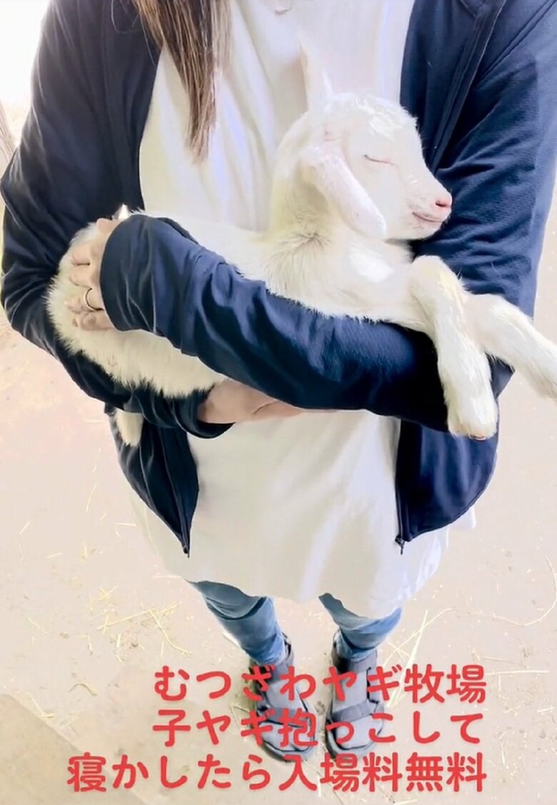 見ているこちらも癒やされてしまう（提供：むつざわヤギ牧場）