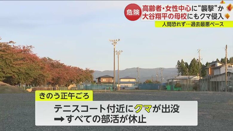 大谷翔平選手の母校の中学校でも、敷地内にクマが出没