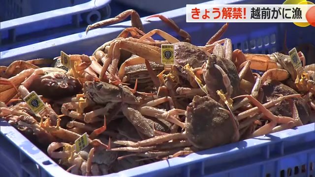 黄色いタグがトレードマーク