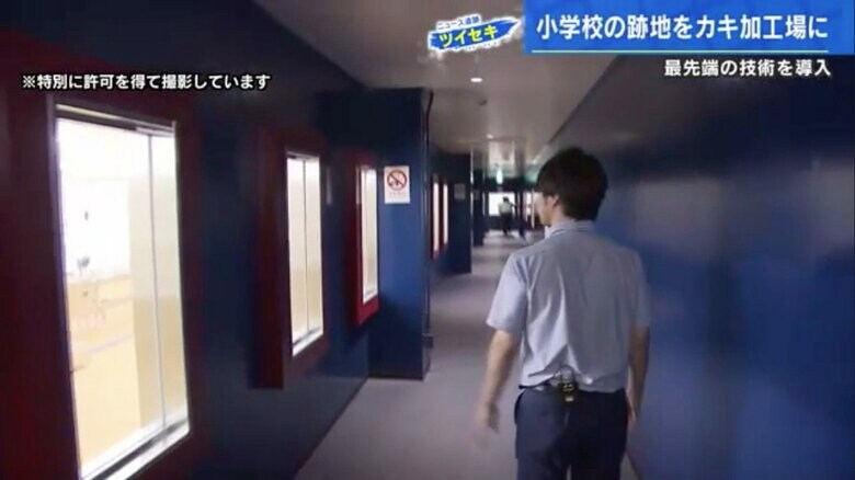 工場内の見学通路を歩く加藤アナ