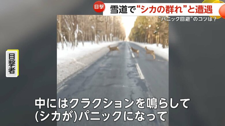 一日に約5回見かけることもあるという目撃者