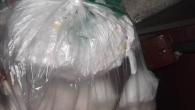 ゴミ袋の中のねずみ　千代田区提供