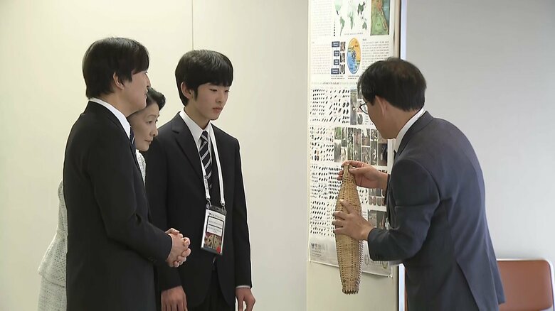 国際昆虫学会議に　2024年8月