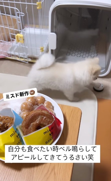 まずは一回ベルをプッシュ