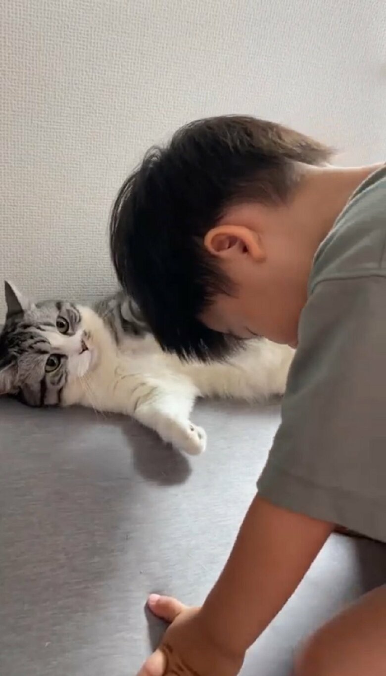 すると、ふにちゃんはムチくんの頭をポンポン