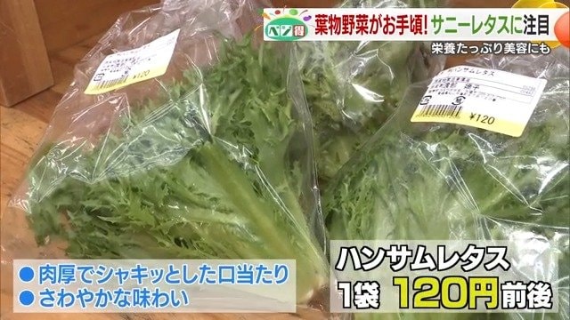 スーパーに並ぶサニーレタス