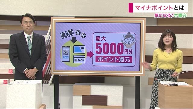 マイナポイント活用するには? 気になる申請方法<岩手県>