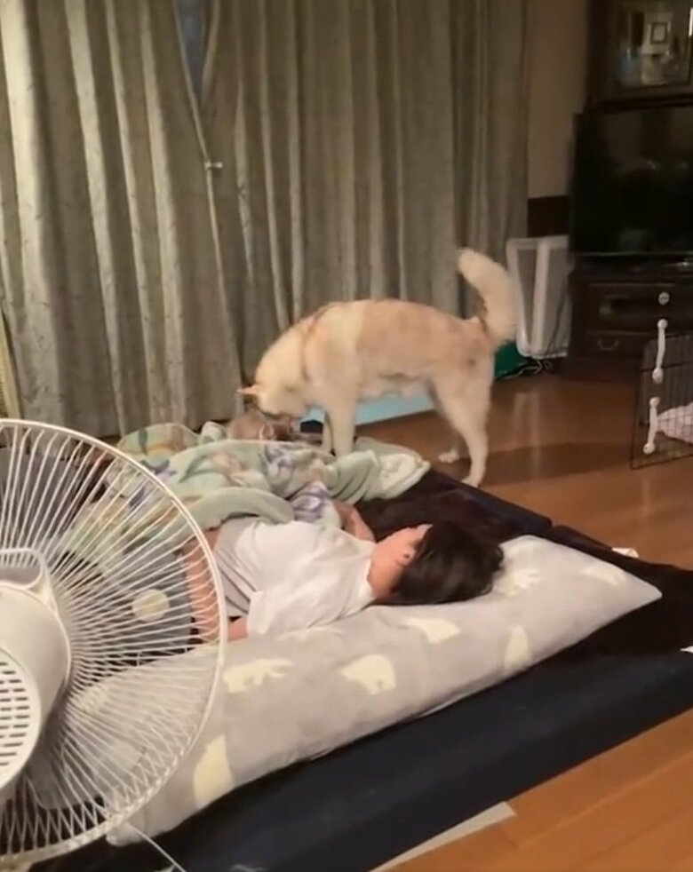 提供：ココとイチのままちゃん