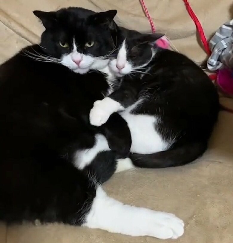 ラブラブな様子の凛くんと静ちゃん