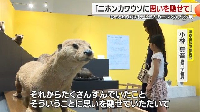 ニホンカワウソに思いをはせて