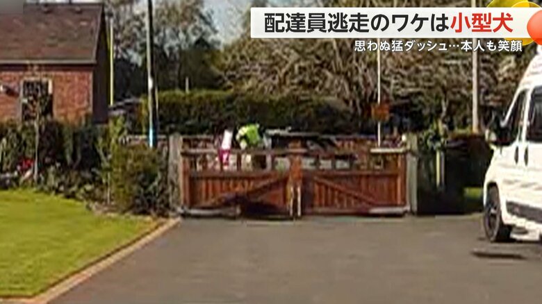 配達員が小型犬におびえて逃げ、家の門を軽々と飛び越えた瞬間（7）