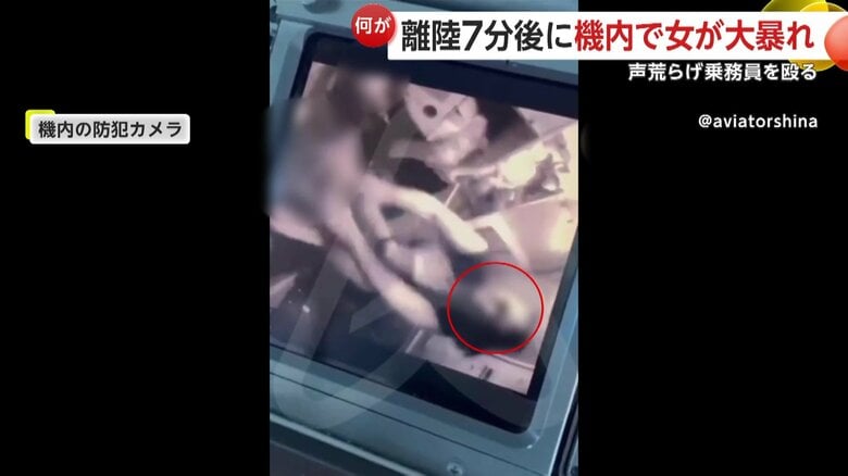 乗務員に暴行する女