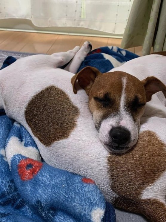 提供：あずもなさん